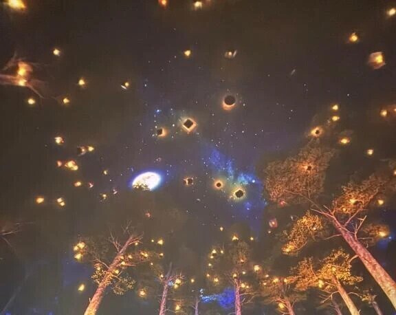 ❣️こんな時期なのね