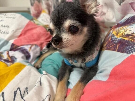 寒すぎないか？