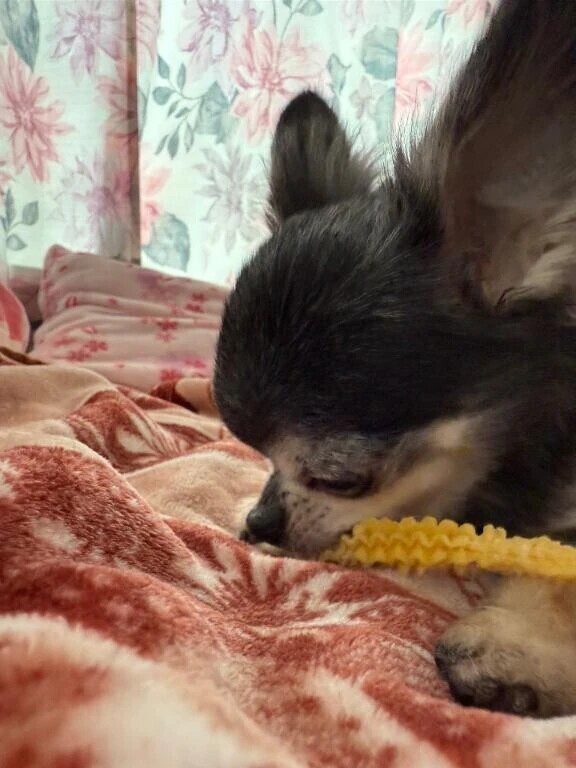 大丈夫かい⁉️