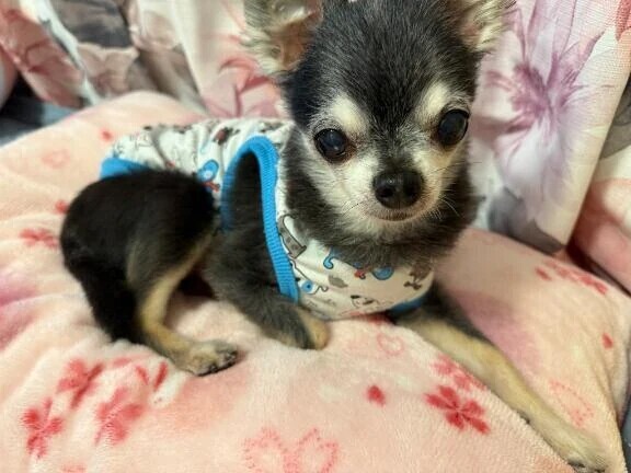 おはようございます☀️