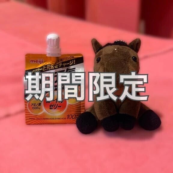 🐴期間限定
