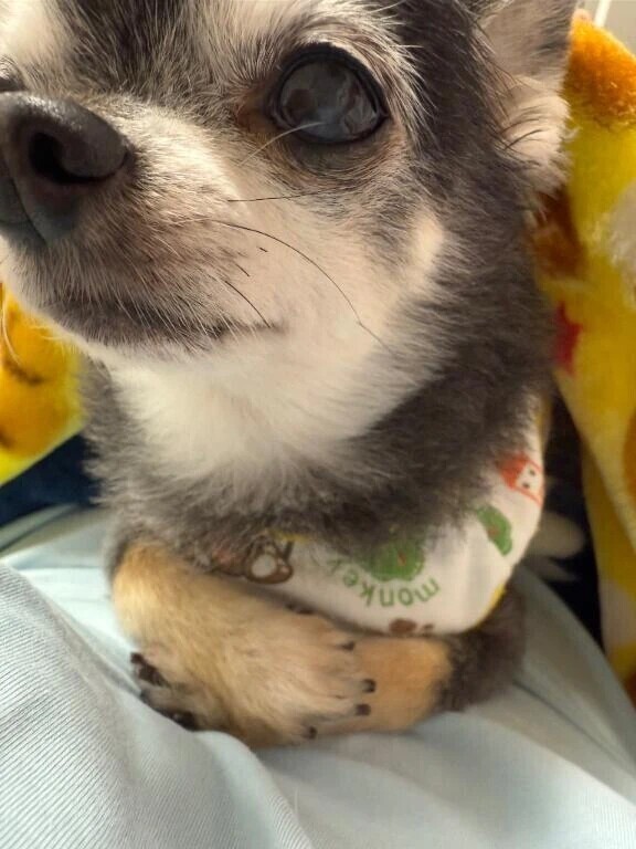 おはようみなさま❤️