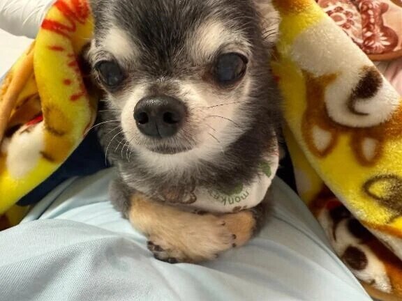 かれこれ何年だろう…🎤