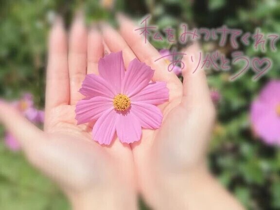 【お礼写メ日記】