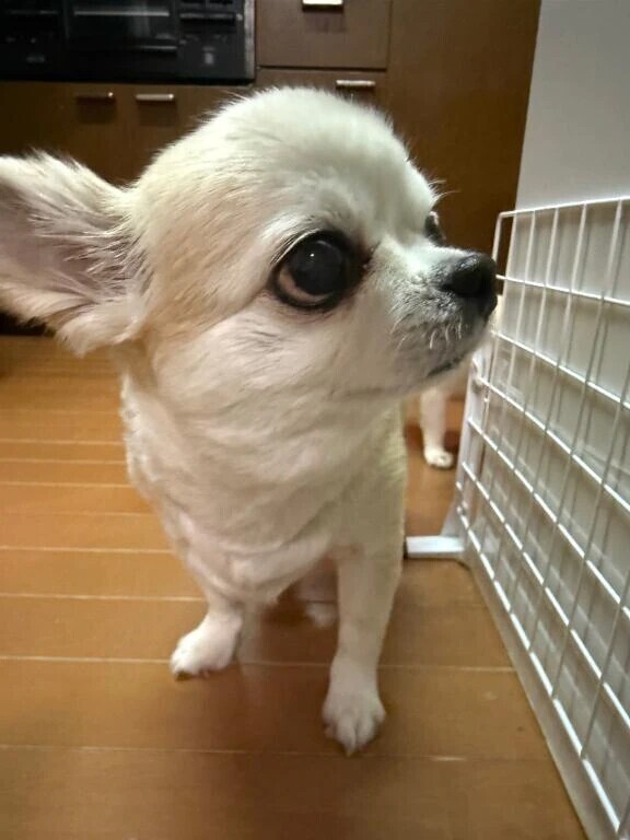 急に寒くなったから…