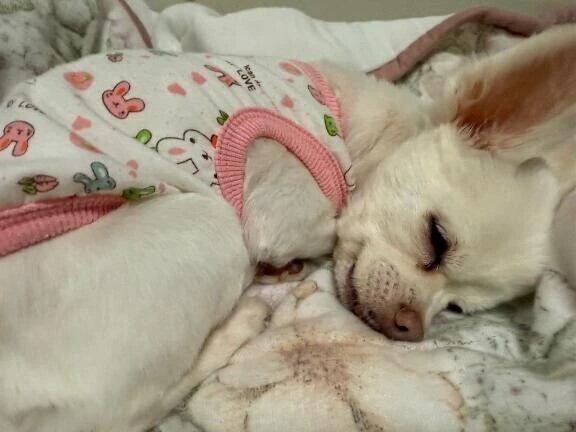 おやすみなさい〜💤