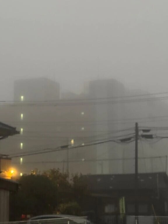 出勤しました♪