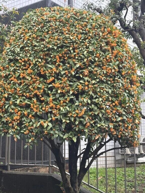 たくさんありがとう♪