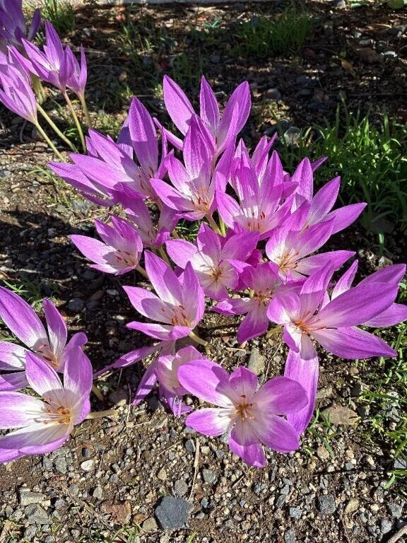 おやすみなさい♡