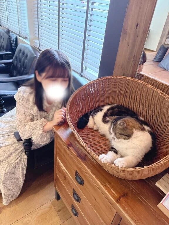 🌷10月29日お礼🌷