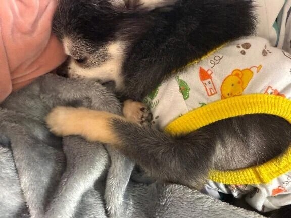 ぐっどもーにんぐ☀️