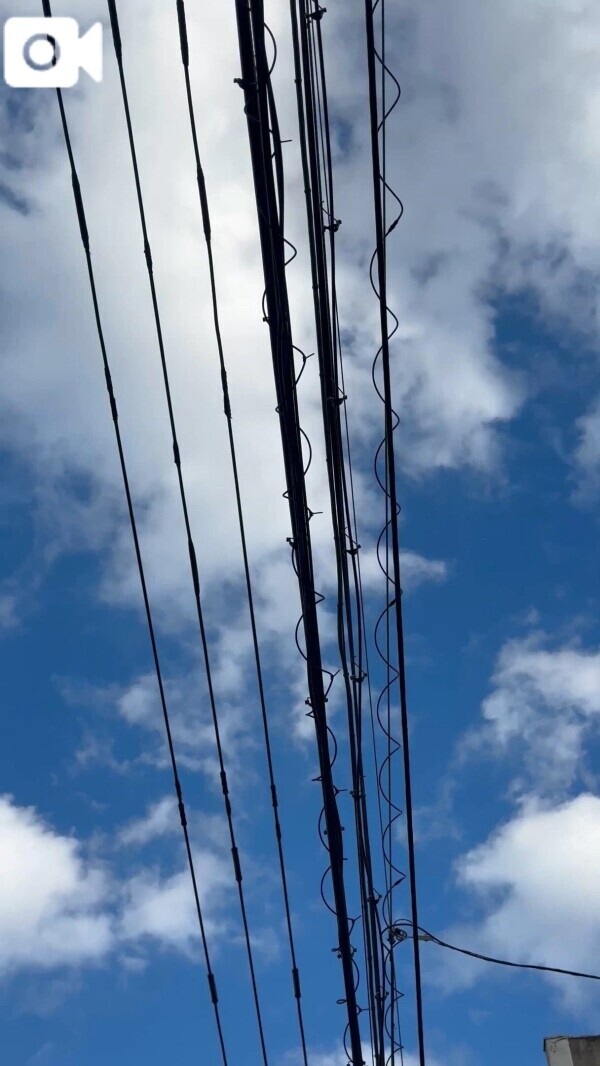 おはようございます🐰✨