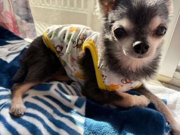 寒がりなのに…