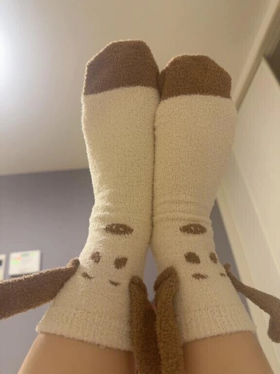 靴下の七不思議