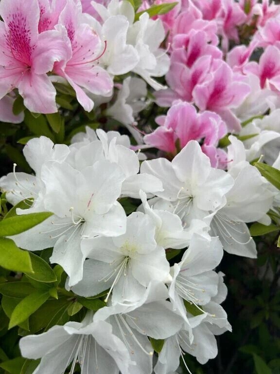 重い腰を上げて🔥