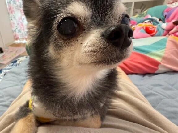 気絶したように…