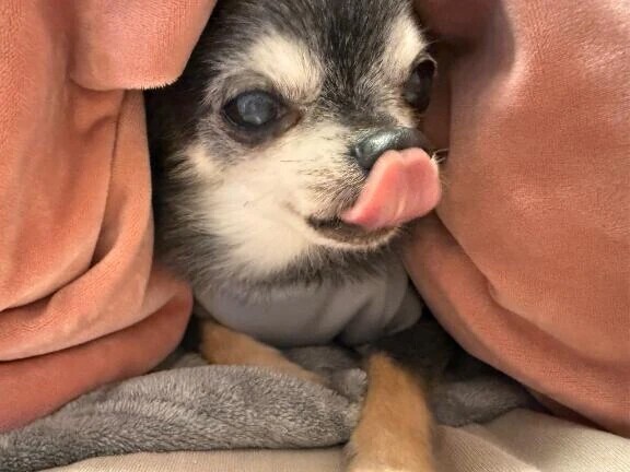 お腹空いたなぁ〜