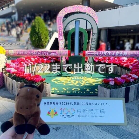 🐴11/22まで出勤です