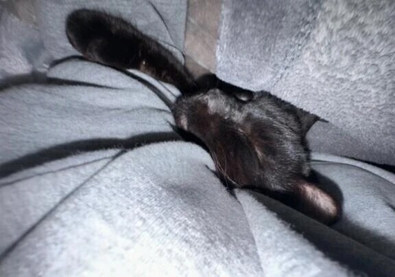 みたよ！ありがとうございます😊