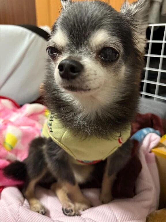 悩ませてくれるなぁ…