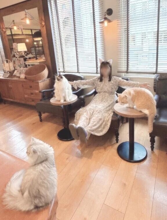 🌷11月20日お礼🌷