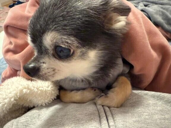 気をつけてきてね❣️