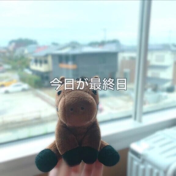 🐴今日が最終日