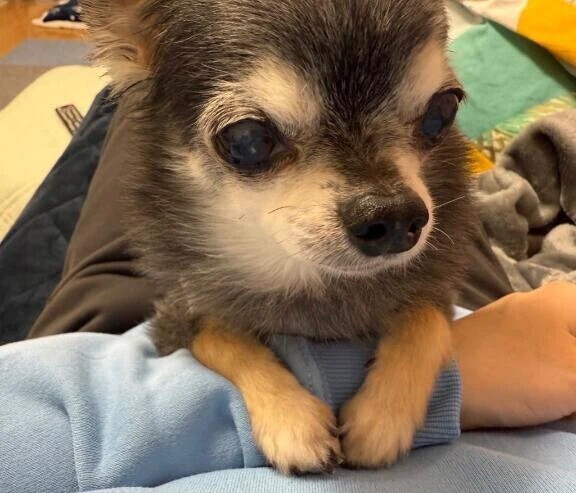 明日の出勤について🚨