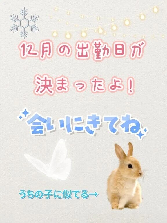12月の出勤日決定！