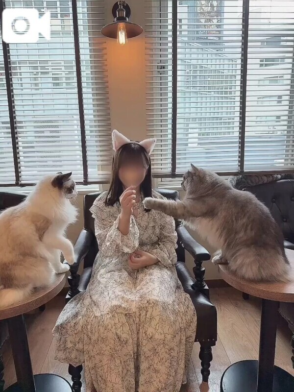 日本代表まであと31人