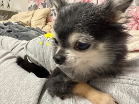 💌素敵なスタート💌