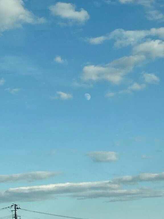 こんにちわ🐶︎💕︎︎