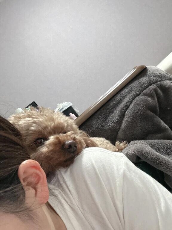 🧸明日で最後の出勤🚗³₃