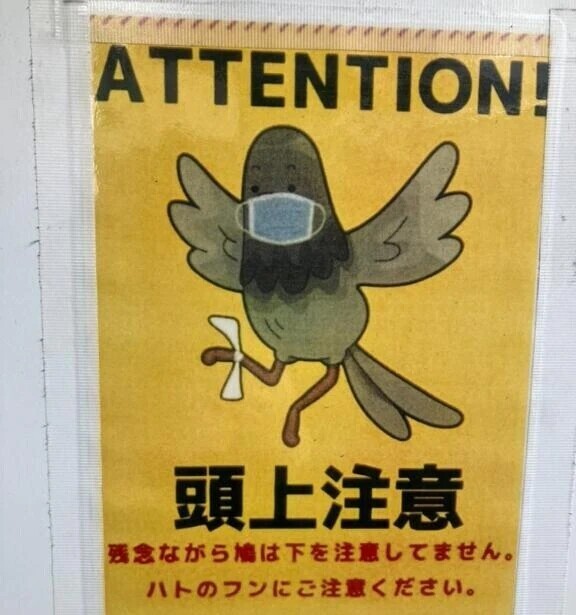 バタバタ(˘ω˘)