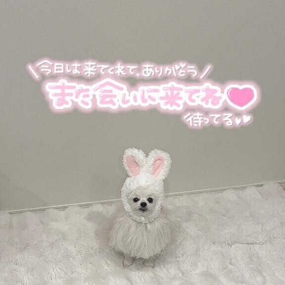 💕3月22日のお礼💕