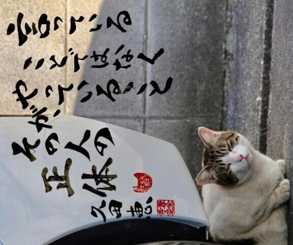 おはよーー