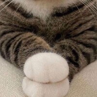 ちな