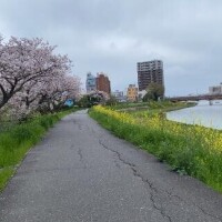 れん