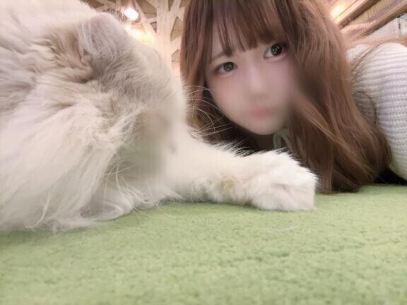 あにまとう✨️
