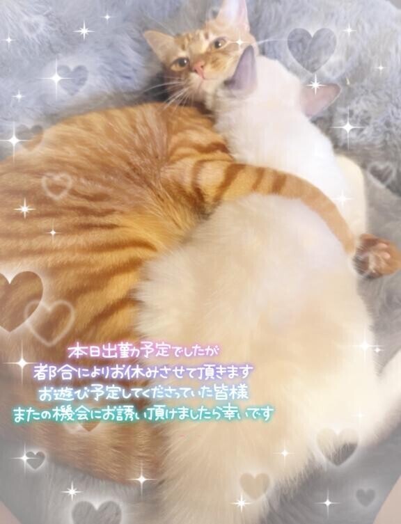 おやすみします