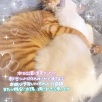みちる