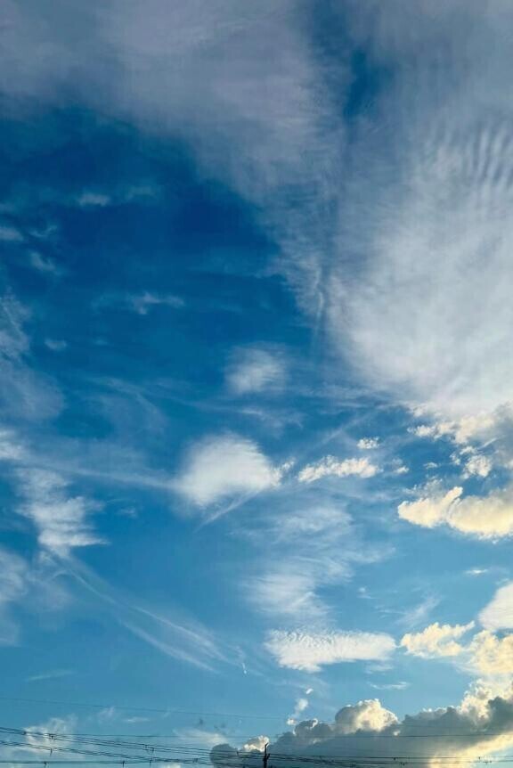 おはようございます☀️