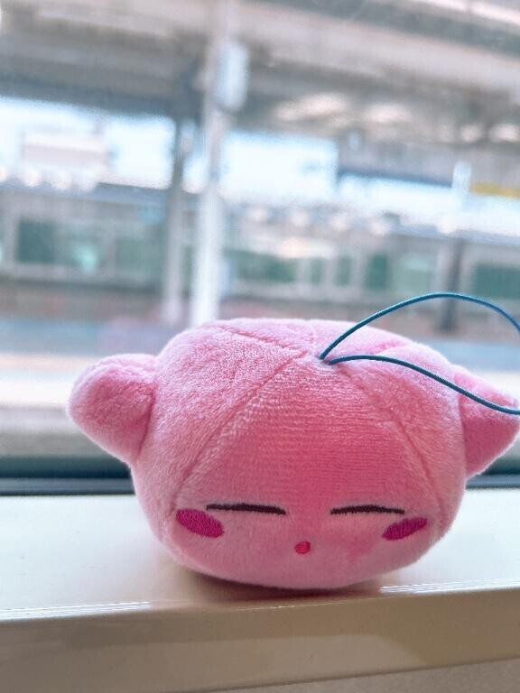 終わり🌟