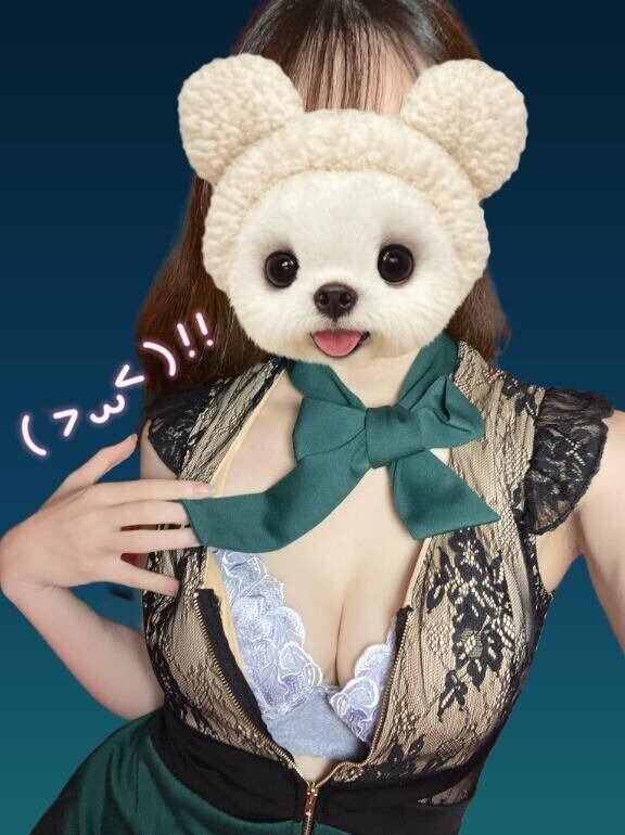完売❁⃘*.ﾟ帰