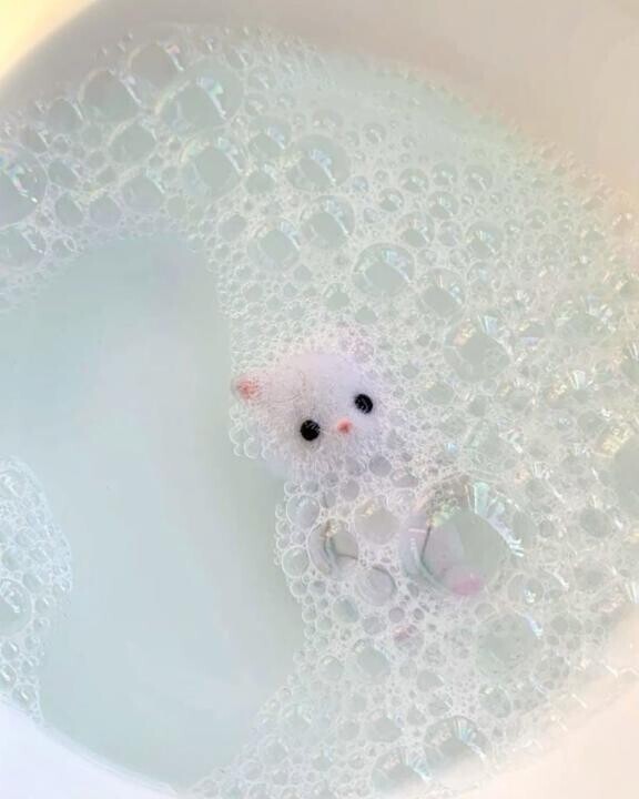 あなたのことだけを考えてるの❕