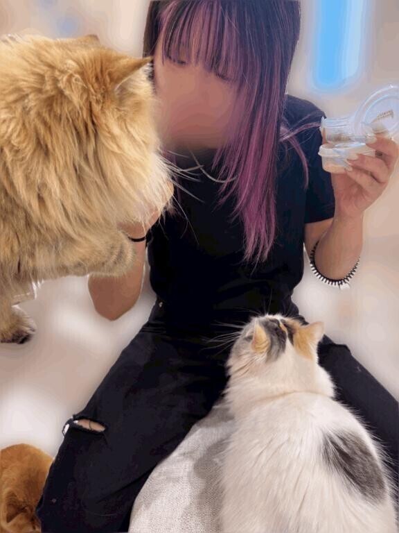 猫ちゃんと戯れてました🐱