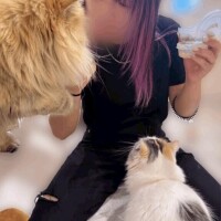 おこめ