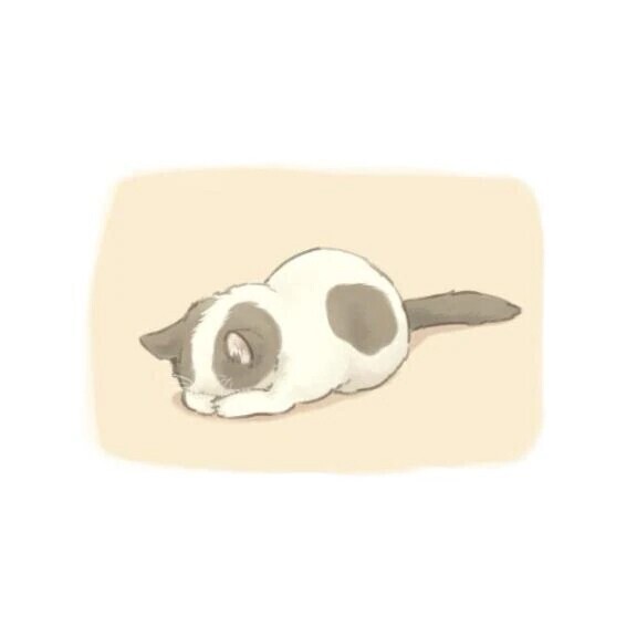 ごめんなさい💦