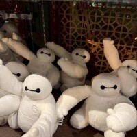 にこる