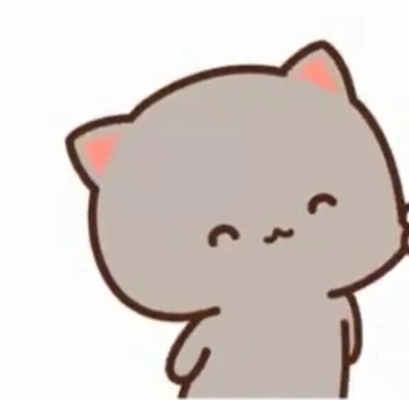 おはよう☀️